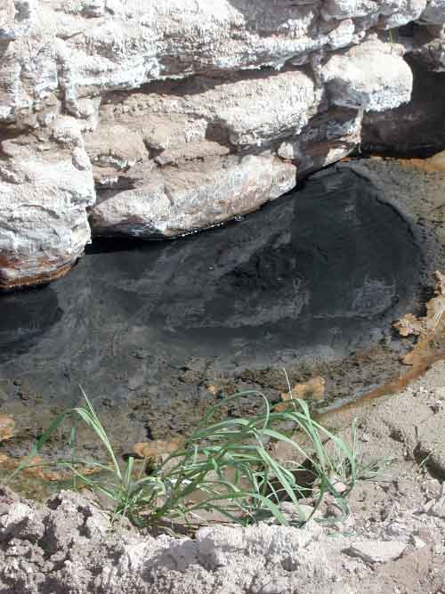 A spring in the upper Colorado River arm of Lake Powell. This spring has emissions of methane and hydrogen sulfide. Also note the white precipitates of unknown chemicals on exposed reservoir sediment.